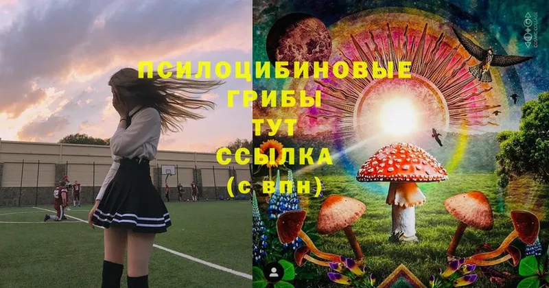 Псилоцибиновые грибы Magic Shrooms  Бикин 